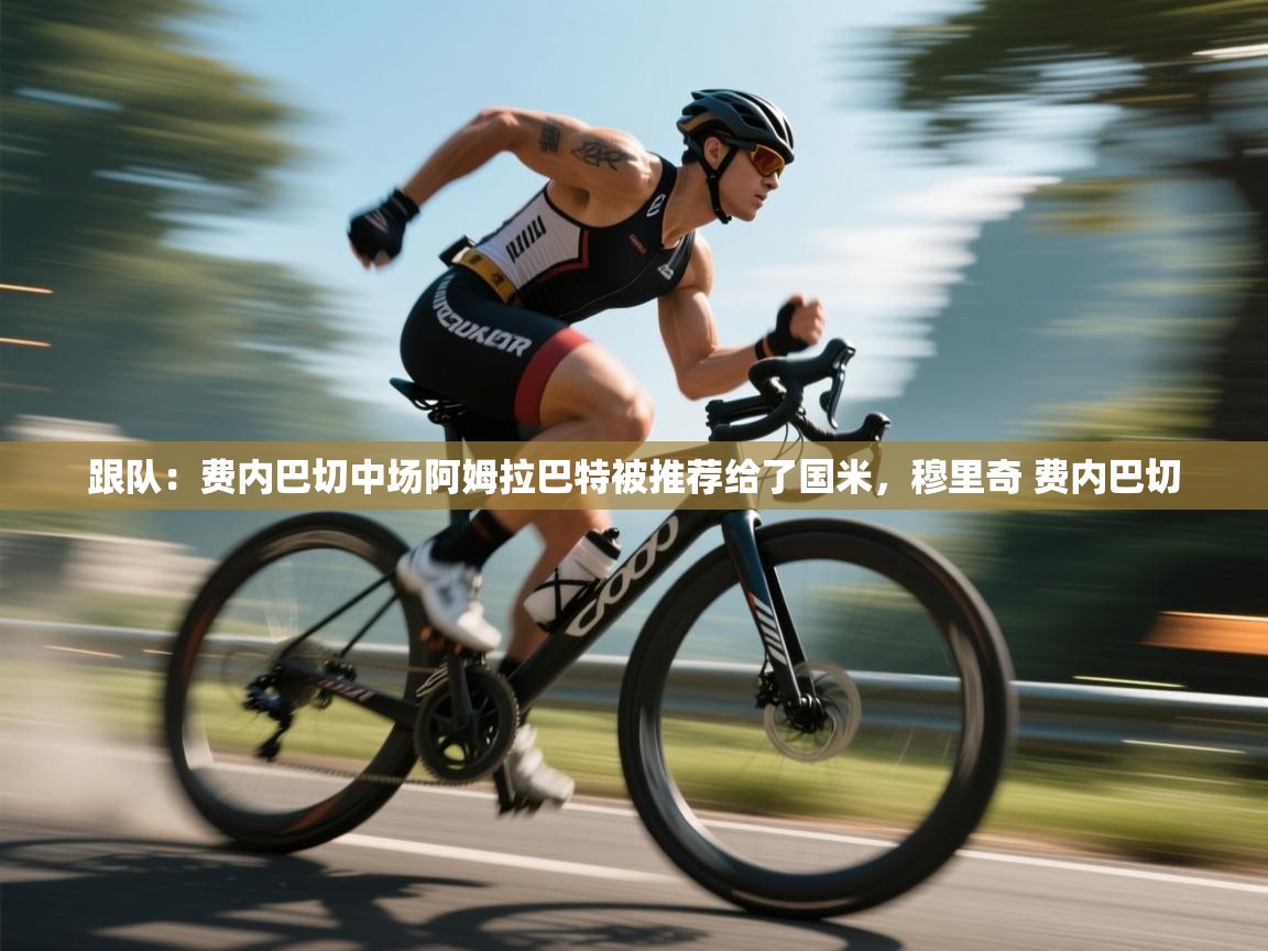 爱游戏体育官网app-跟队：费内巴切中场阿姆拉巴特被推荐给了国米，穆里奇 费内巴切  第3张