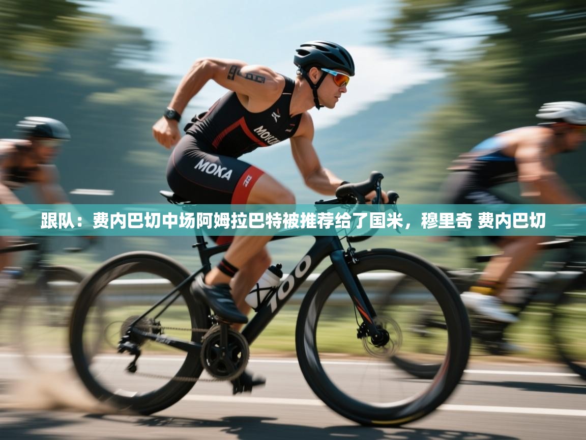 爱游戏体育官网app-跟队：费内巴切中场阿姆拉巴特被推荐给了国米，穆里奇 费内巴切  第4张