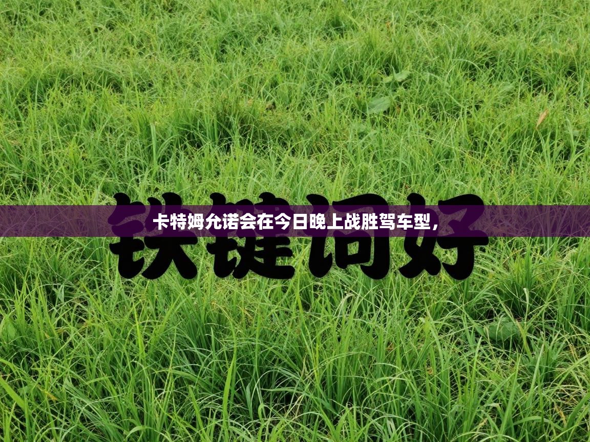 爱游戏娱乐-卡特姆允诺会在今日晚上战胜驾车型，  第1张